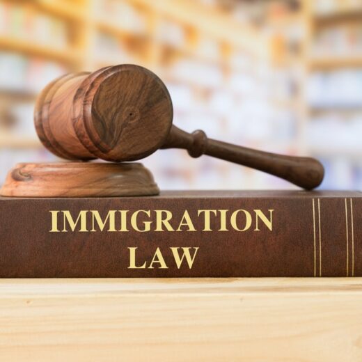 L'aide juridique en matière d'immigration
