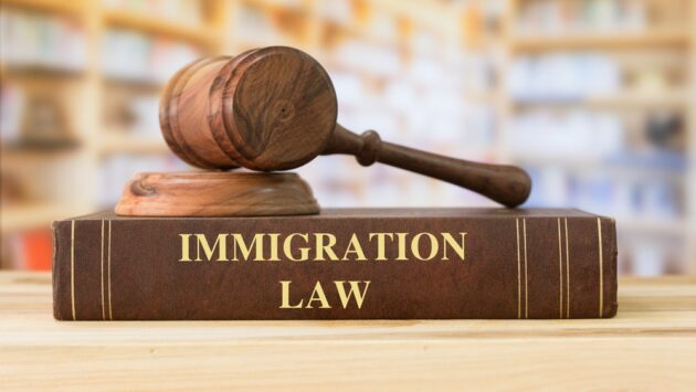 L'aide juridique en matière d'immigration